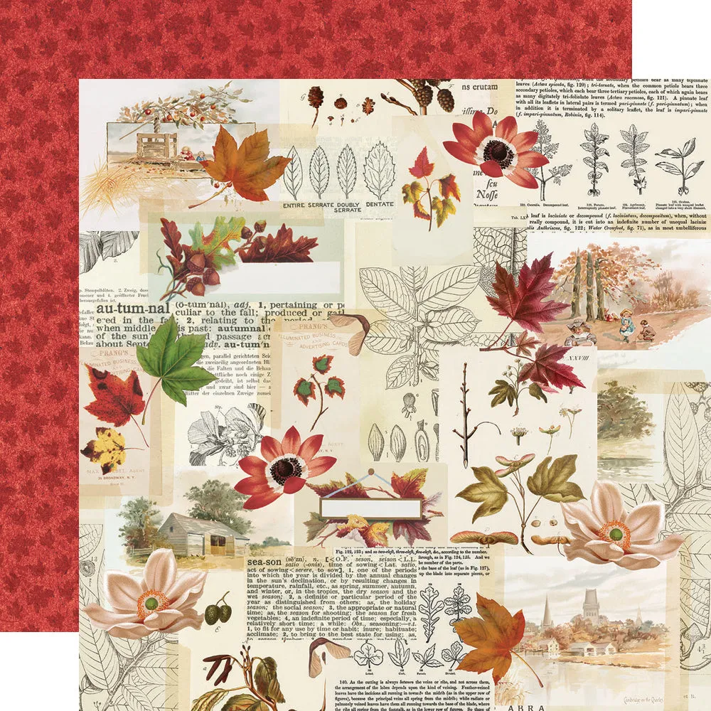 Autumn Splendor 12x12 Collection Kit