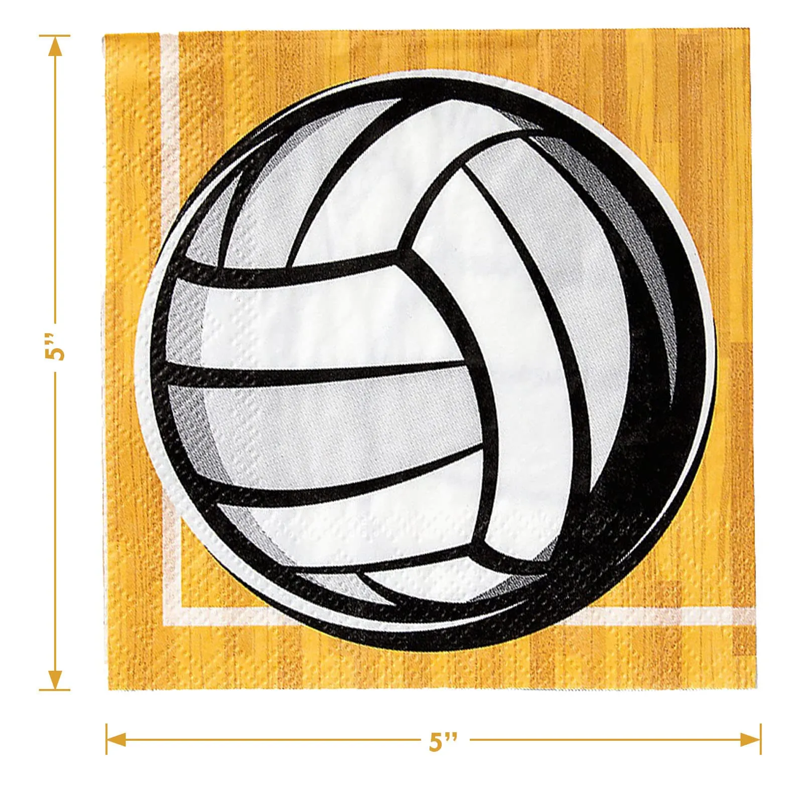 Volleyball Party Supplies Sports Team Paper Dessert Plates and Beverage Napkins (Serves 16)